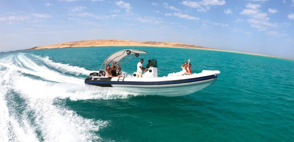 Dolphin Private Tour by Speedboat