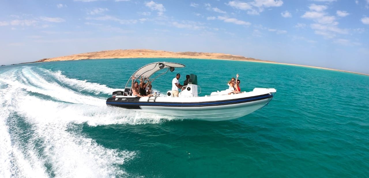 Dolphin Tour with a Speedboat