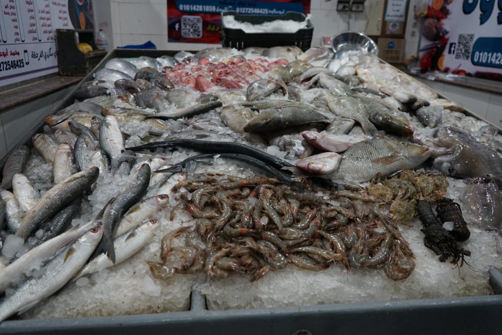 Hurghada's Fish Market