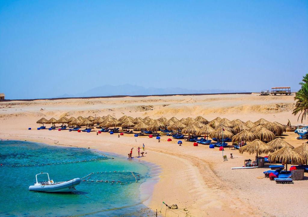 Excursion de snorkeling à Sharm El Naga