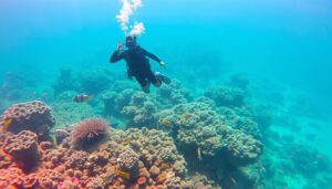 Snorkeling à Hurghada